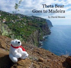 Theta Bear Goes to Madeira book cover