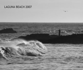 Laguna  Beach 2007 book cover