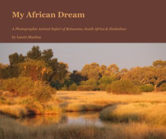 My African Dream book cover