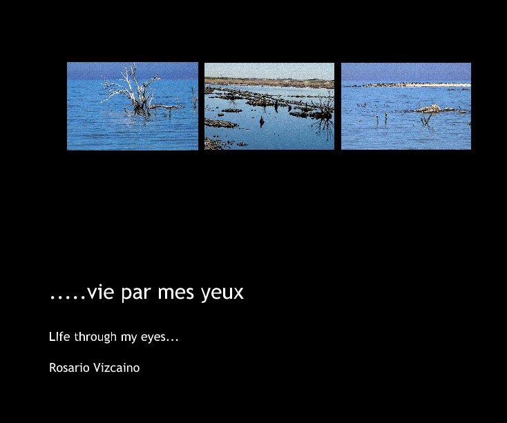 View .....La vie par mes yeux by Rosario Vizcaino