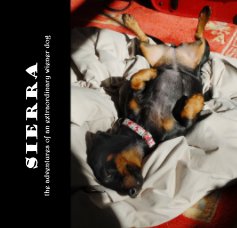 Sierra the adventures of an extraordinary wiener dog book cover