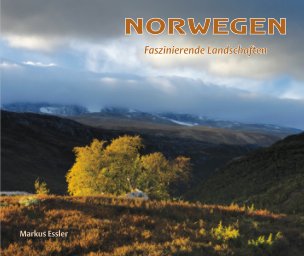 NORWEGEN book cover
