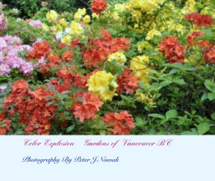 Color Explosion    Gardens of  Vancouver BC book cover