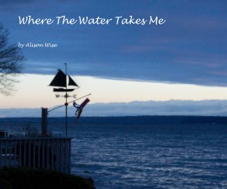 Where The Water Takes Me book cover