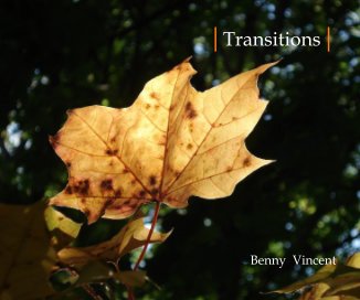 |Transitions| book cover