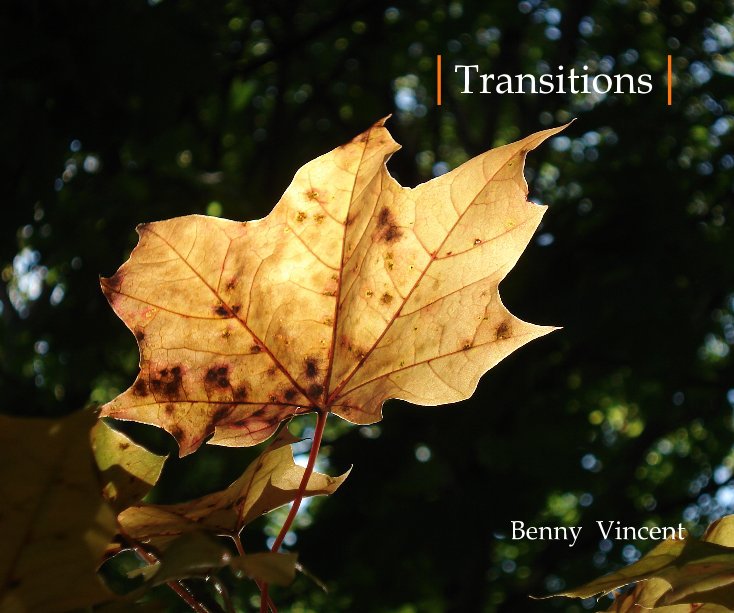 View |Transitions| by Benny vincent punnassery