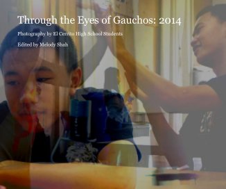 Through the Eyes of Gauchos: 2014 book cover