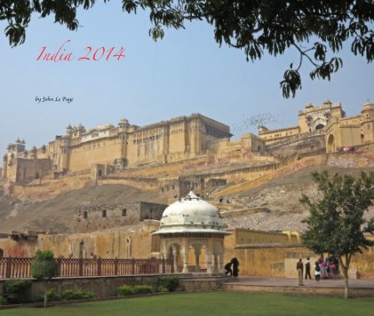 India 2014 book cover