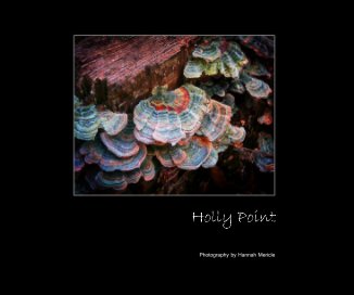 Holly Point book cover