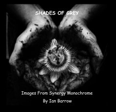 SHADES OF GREY book cover