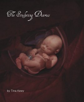 The Sculpting Diaries book cover