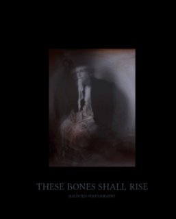 These Bones Shall Rise book cover