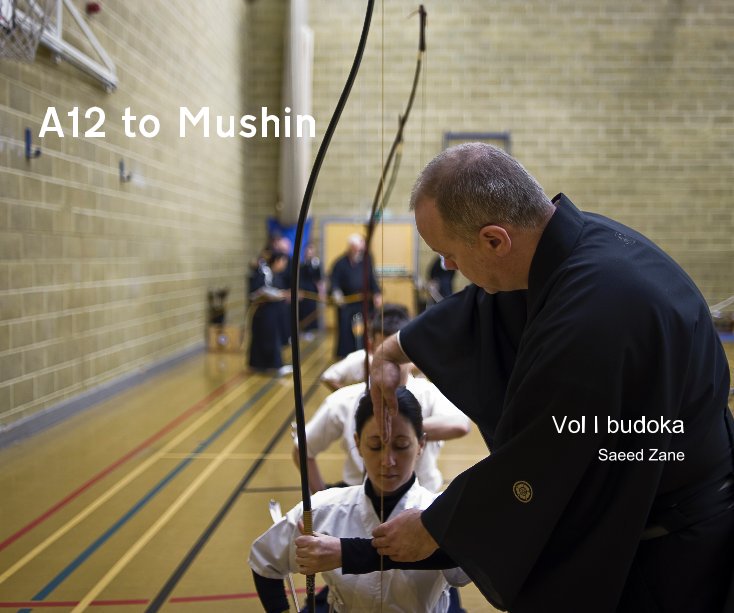 Ver A12 to Mushin Vol I por Saeed Zane