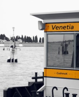 Venetia book cover