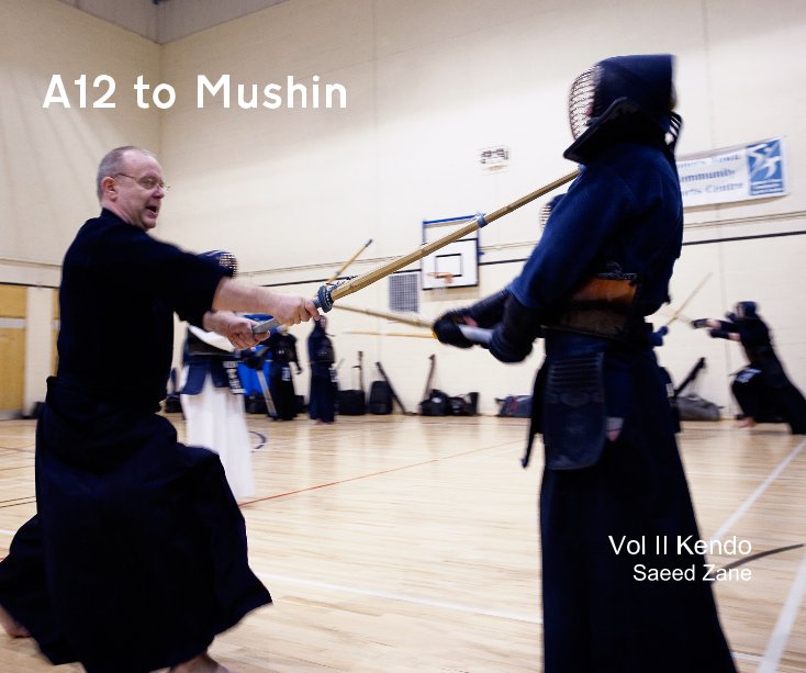 View A12 to Mushin Vol II by Saeed Zane