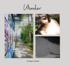 Wonder book cover