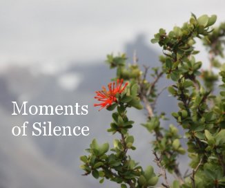 Moments of Silence book cover