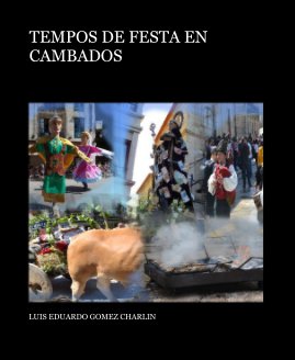 TEMPOS DE FESTA EN CAMBADOS book cover
