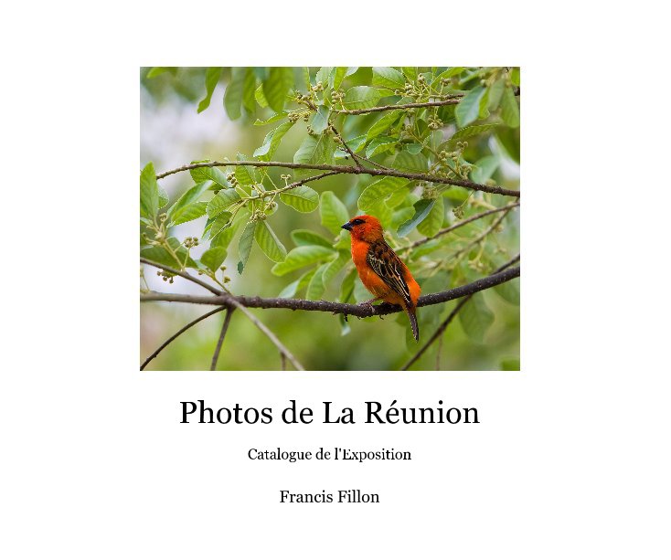Bekijk Photos de La Réunion op Francis Fillon