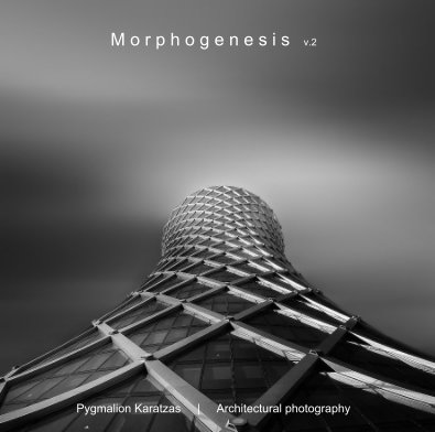 Morphogenesis v.2 book cover