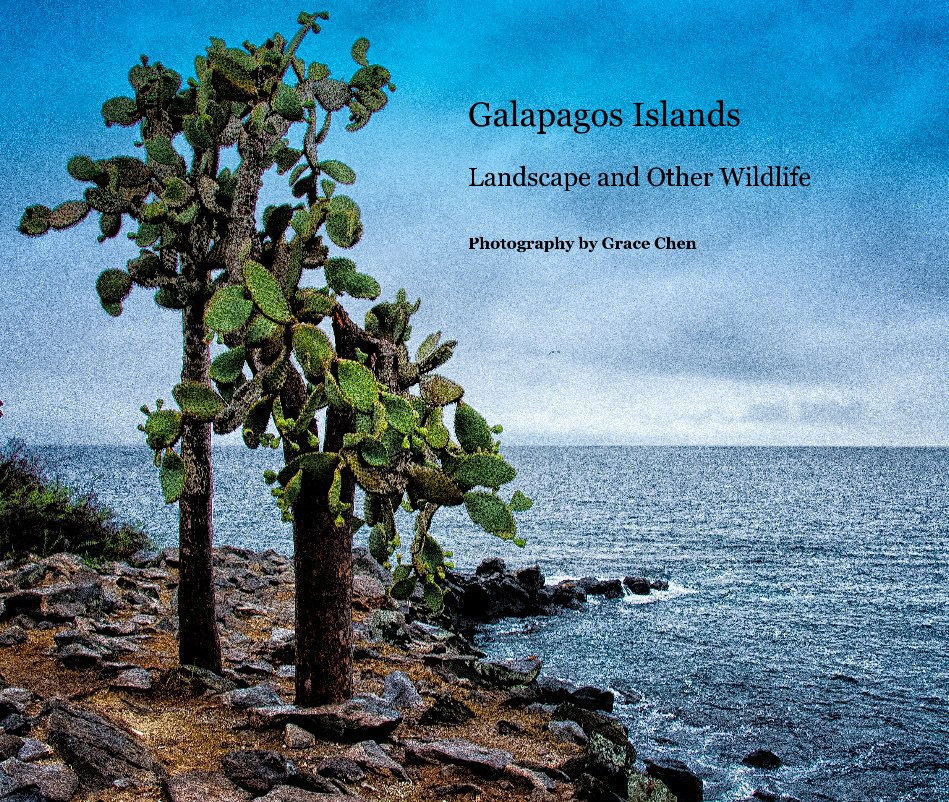 Ver Galapagos Islands por Photography by Grace Chen