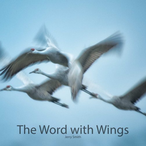 View The Word with Wings by Jerry Smith