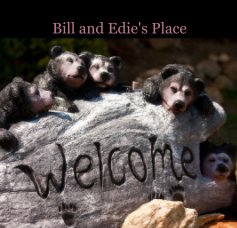 Bill and Edie's Place book cover