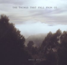 THE THINGS THAT FALL FROM US book cover