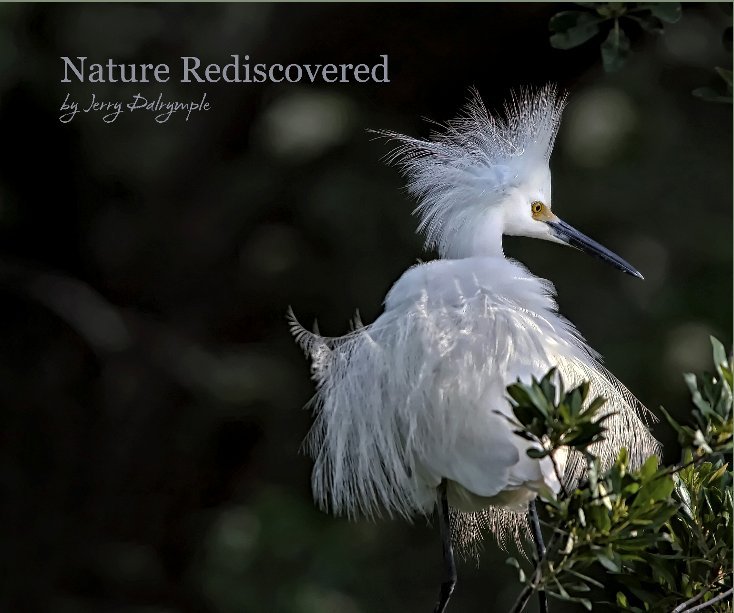 View Nature Rediscovered by Jerry Dalrymple