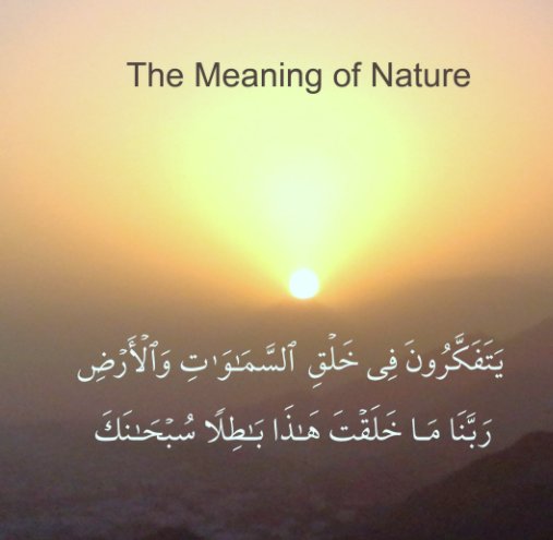 View The Meaning of Nature by Aman Siddiqi