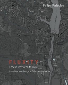 Fluxity book cover