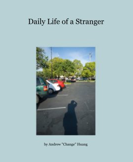 Daily Life of a Stranger book cover