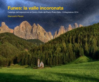 Funes: la valle incoronata book cover