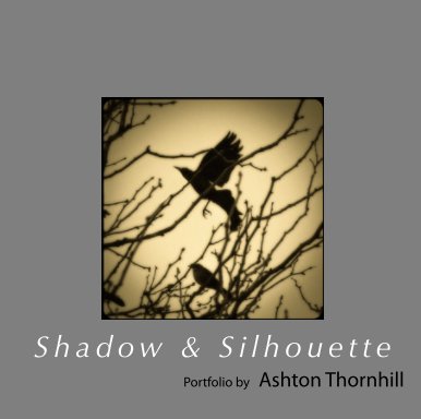 Shadow and Silhouette book cover