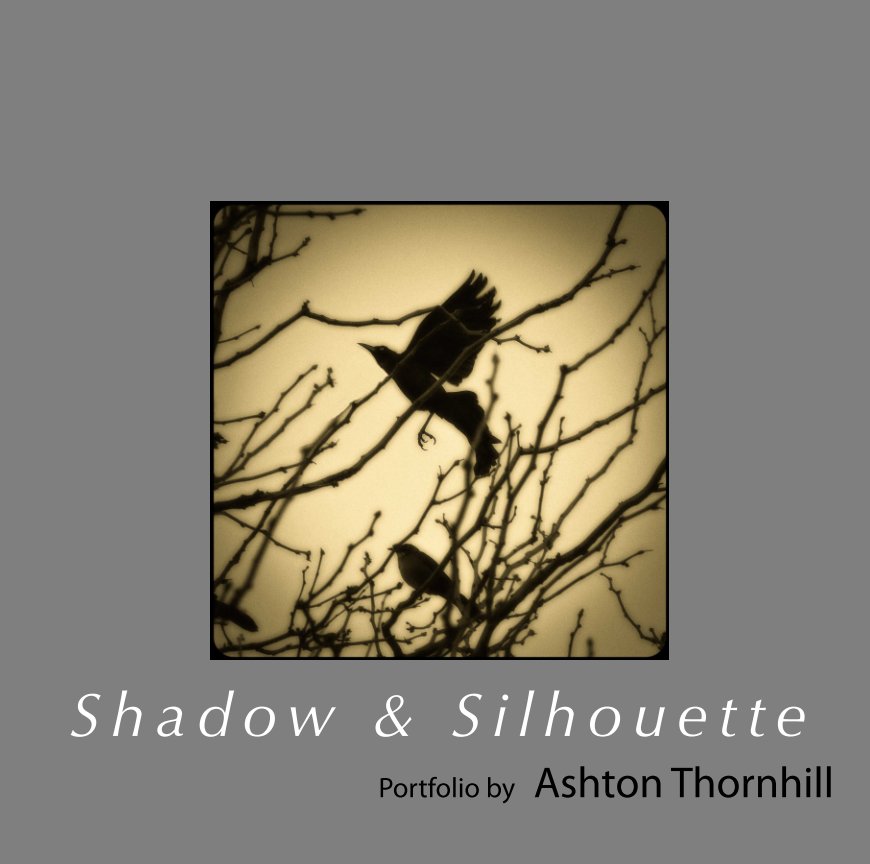 View Shadow and Silhouette by Ashton Thornhill