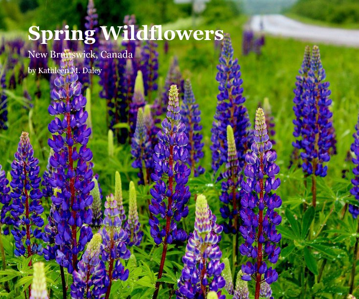 Ver Spring Wildflowers por Kathleen M. Daley