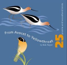 from Avocet to Yellowthroat book cover