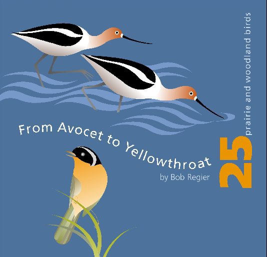 View from Avocet to Yellowthroat by Bob Regier