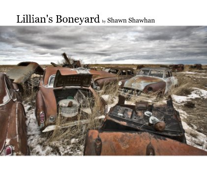 Lillian's Boneyard by Shawn Shawhan book cover