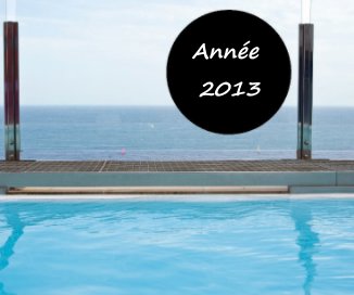 Année 2013 book cover