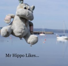 Mr Hippo Likes book cover