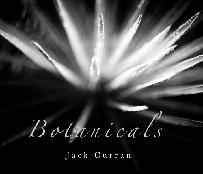 Visualizza Botanicals - In the Garden di Jack Curran