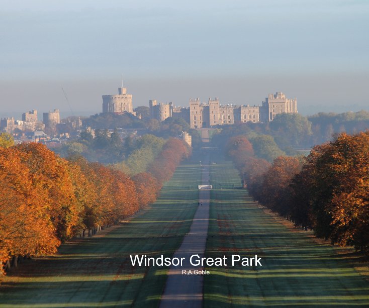 View Windsor Great Park by R.A.Goble