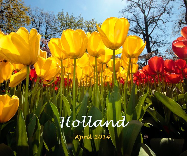 View Holland by gdfellows
