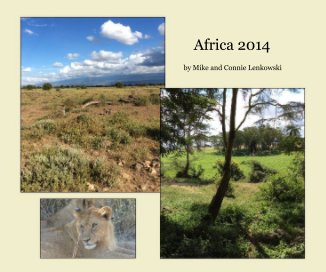 Africa 2014 book cover
