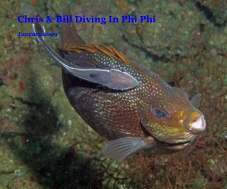 Chris & Bill Diving In Phi Phi book cover