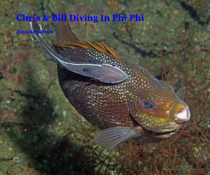View Chris & Bill Diving In Phi Phi by Bill Tompkins