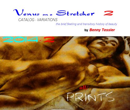 2014 - Venus on a Stretcher, part 2 book cover