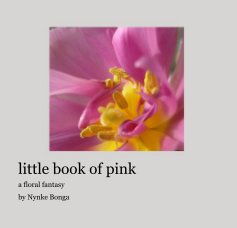 little book of pink book cover