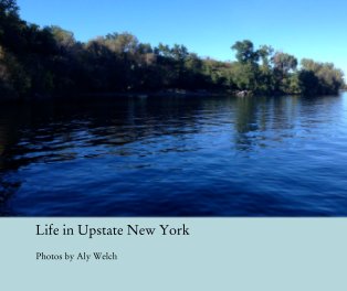 Life in Upstate New York book cover